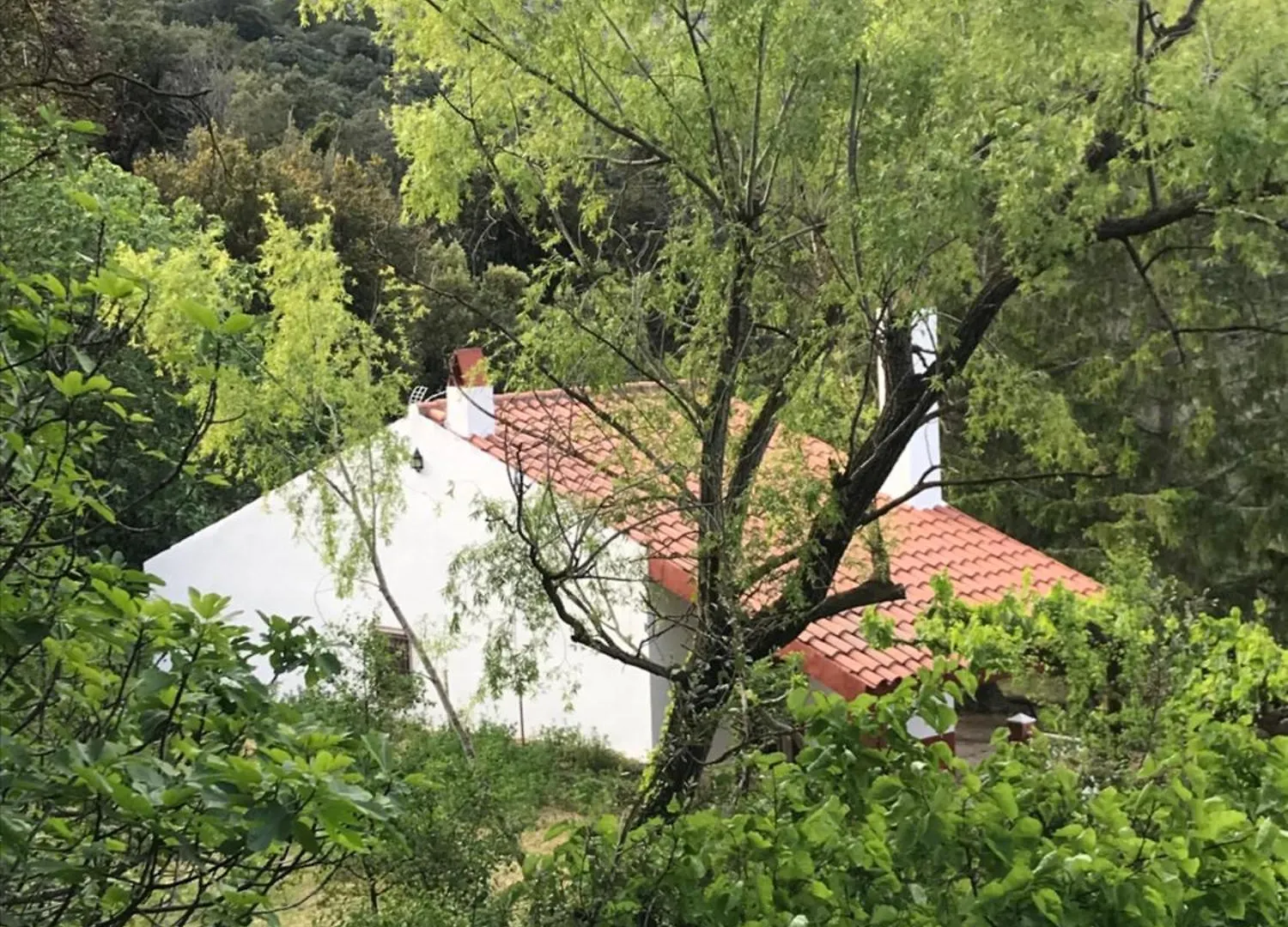 Holiday home La Casetablanca Del Toscar Alfara de Carles